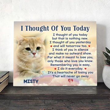 Final Goodbye: Cat Rainbow Bridge Quotes to Honor Your Beloved Pet