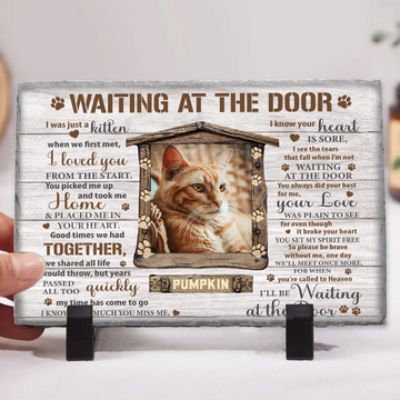 Comforting Words of Sympathy — Sorry for the Loss of Your Cat