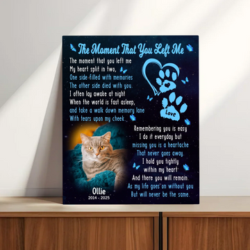 The Moment That You Left Me" – A Cat Death Poem