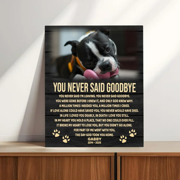 You Never Said Goodbye Poem