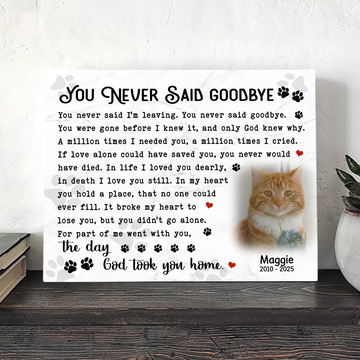You Never Said Goodbye – Cat Memorial Poem