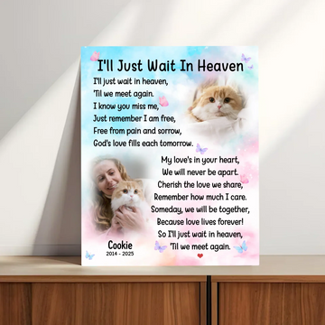 I'll Just Wait in Heaven" – A Cat Crossing the Rainbow Bridge Poem