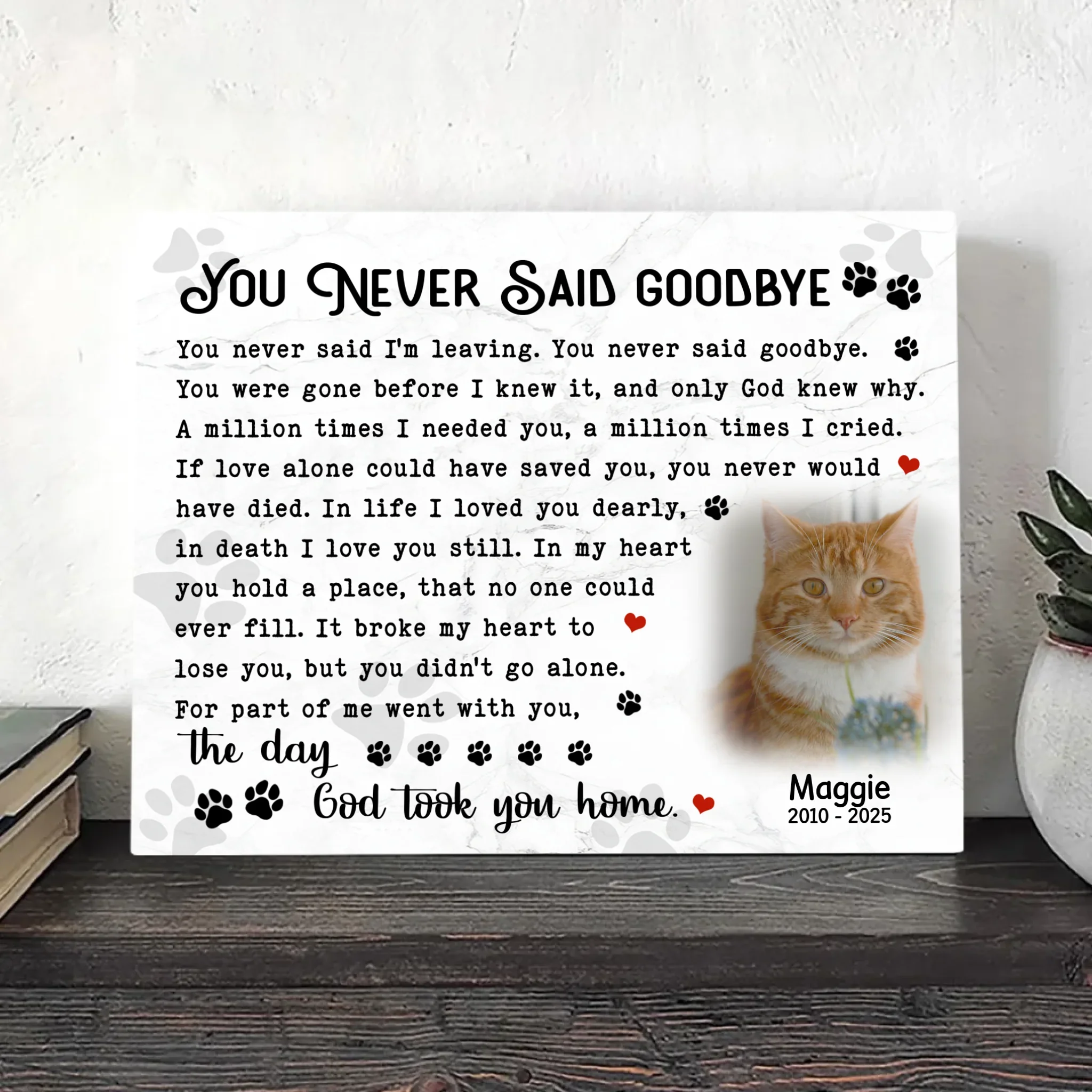 You Never Said Goodbye – Cat Memorial Poem