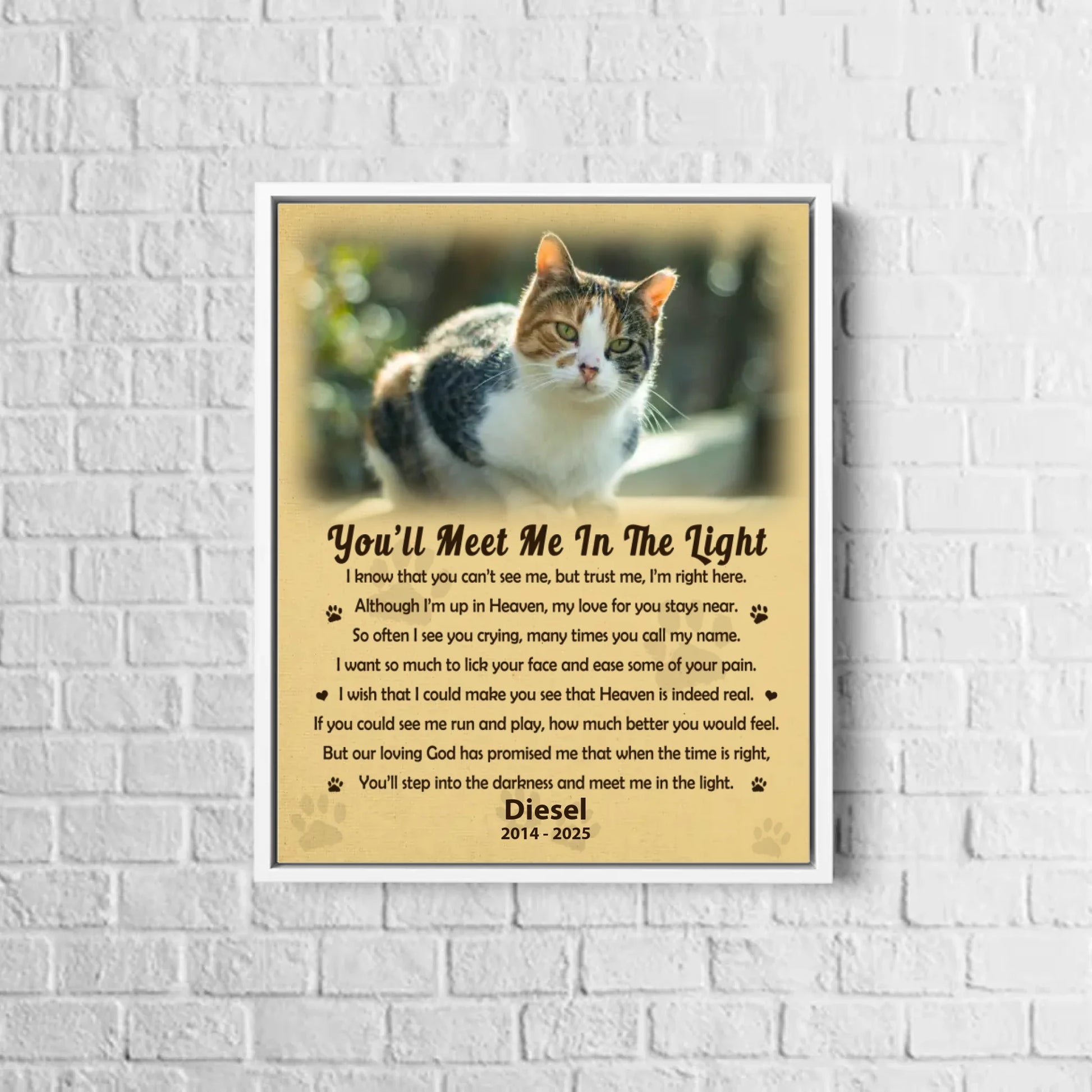 white-framed-canvas-8x10-MK