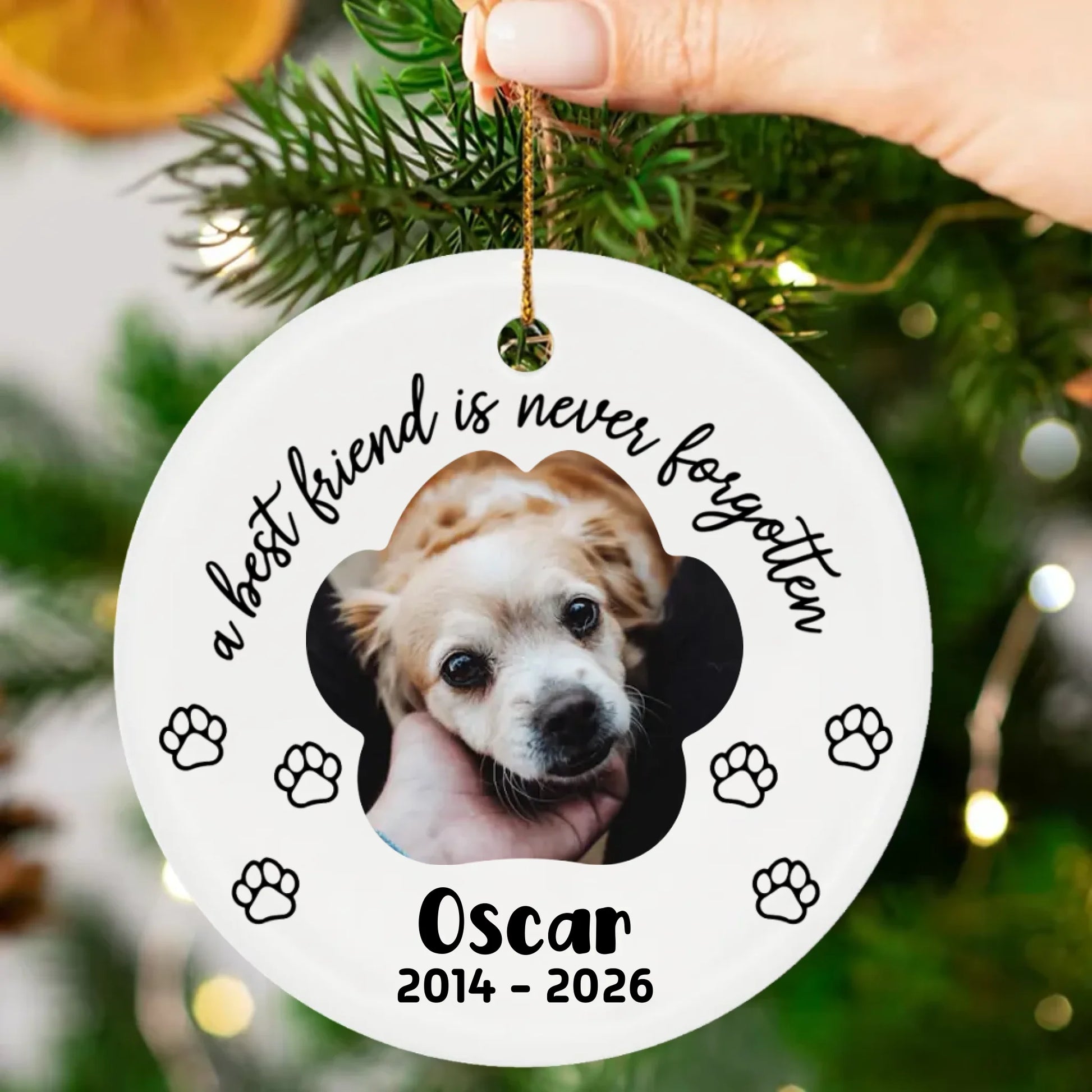 Ornament-Mockup-2