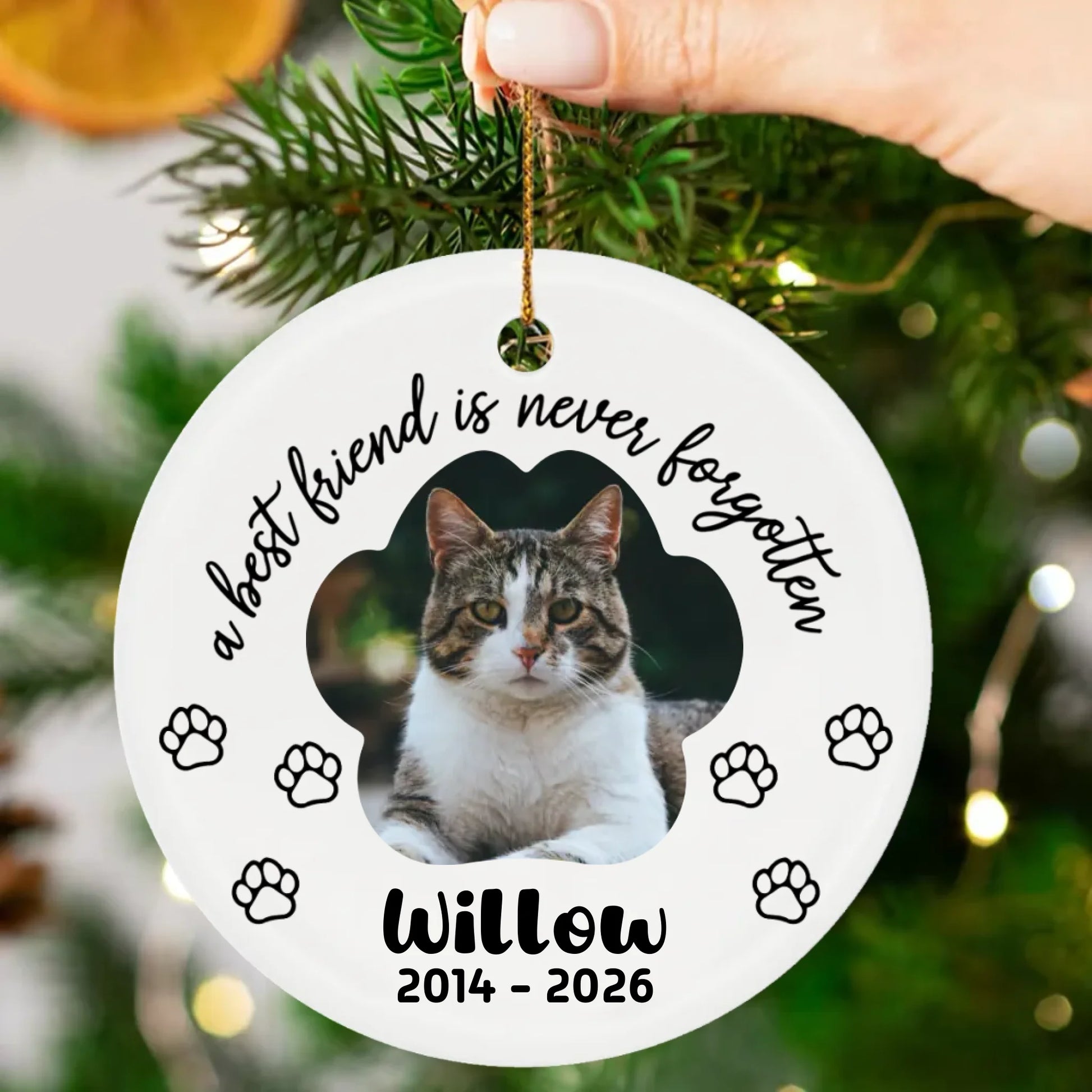 Ornament-Mockup-2