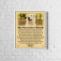 white-framed-canvas-8x10-MK